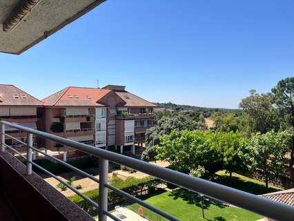 Piso en alquiler en Galapagar