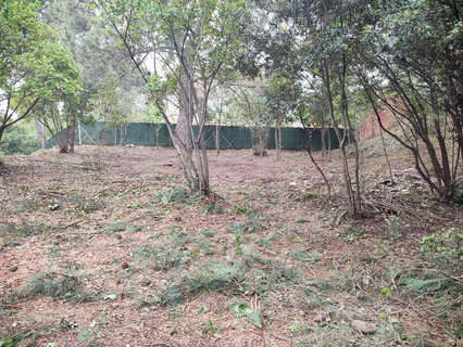 Parcela rústica en venta en Vallgorguina
