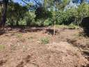 Parcela urbana en venta en Vallgorguina