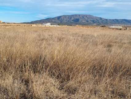 Parcela rústica en venta en El Pinós/Pinoso