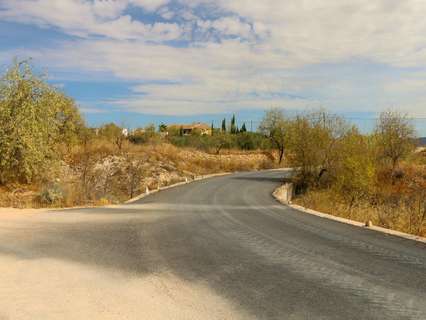 Parcela rústica en venta en Jumilla