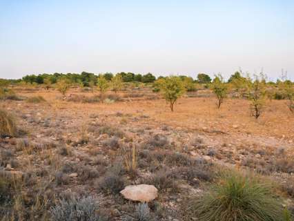 Parcela rústica en venta en Yecla