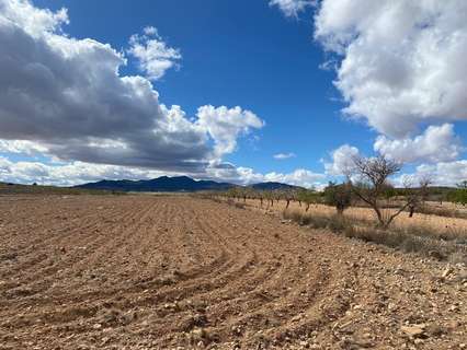 Parcela rústica en venta en El Pinós/Pinoso