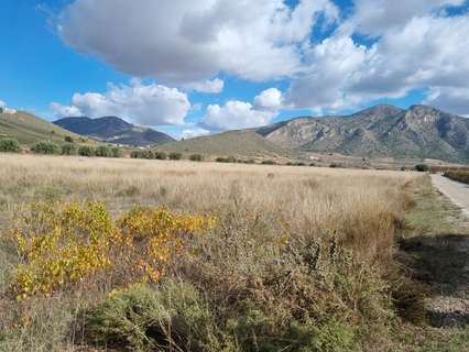 Parcela rústica en venta en Abanilla