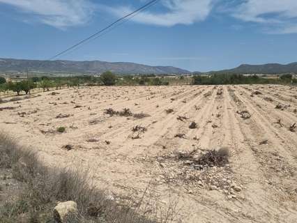 Parcela rústica en venta en El Pinós/Pinoso rebajada