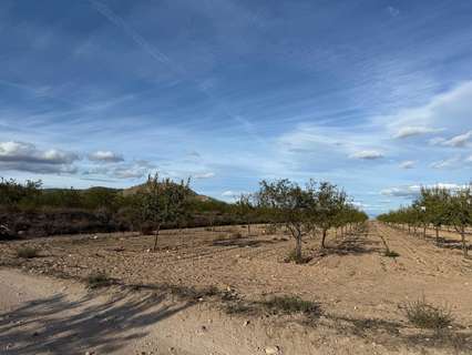Parcela rústica en venta en Monóvar/Monòver