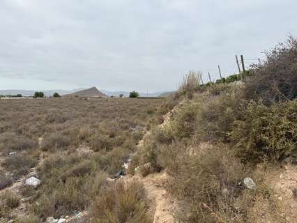 Parcela rústica en venta en Monforte del Cid