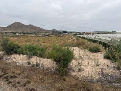 Parcela rústica en venta en Monforte del Cid