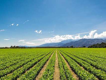 Parcela rústica en venta en Moraña