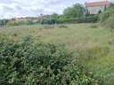 Parcela rústica en venta en San Cibrao das Viñas