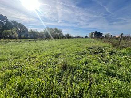 Parcela rústica en venta en Coles