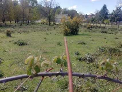 Parcela rústica en venta en Amoeiro