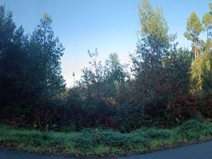 Parcela rústica en venta en Barro