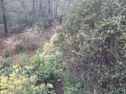 Parcela en venta en Lloret de Mar