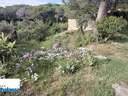 Parcela en venta en Lloret de Mar