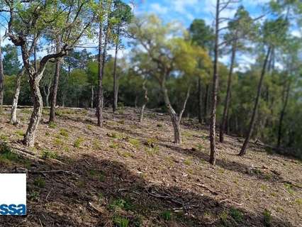 Parcela en venta en Lloret de Mar zona Lloret Blau - La Creu de Lloret
