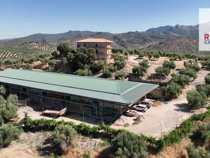 Parcela rústica en venta en La Iruela