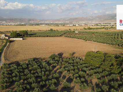 Parcela rústica en venta en Alhendín