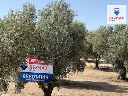 Parcela rústica en venta en Benamaurel