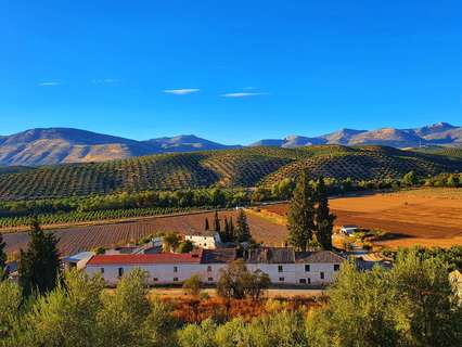 Casa rústica en venta en Albolote