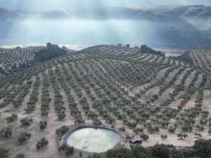 Parcela rústica en venta en Iznalloz