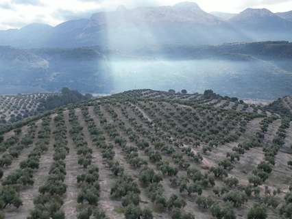 Casa rústica en venta en Iznalloz rebajada