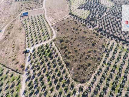 Parcela rústica en venta en Freila