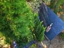 Casa en venta en Güejar Sierra