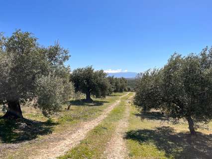 Parcela rústica en venta en Illora zona Alomartes