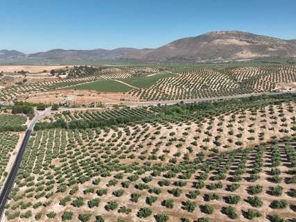Parcela rústica en venta en Albolote
