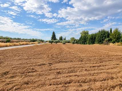Parcela rústica en venta en Moraleda de Zafayona