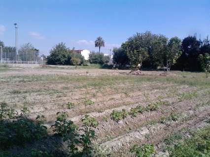 Parcela rústica en venta en Murcia