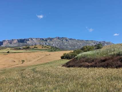 Casa rústica en venta en Villanueva de la Concepción