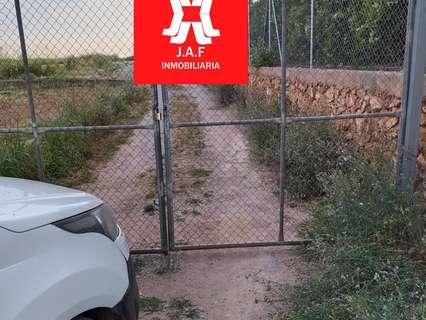 Parcela rústica en venta en Moncada