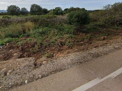 Parcela rústica en venta en Castellón de la Plana