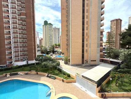 Apartamento en venta en Benidorm rebajado