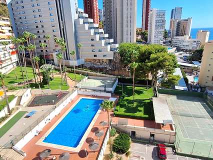 Apartamento en alquiler en Benidorm