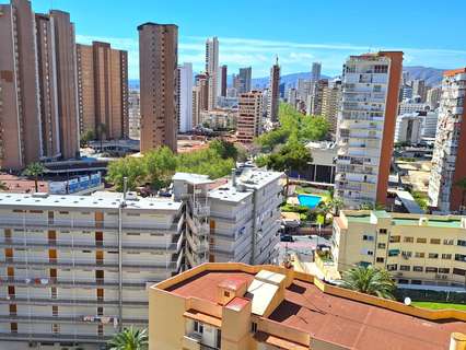 Apartamento en alquiler en Benidorm