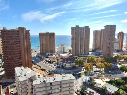 Apartamento en venta en Benidorm rebajado
