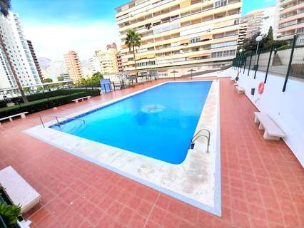 Estudio en venta en Benidorm rebajado