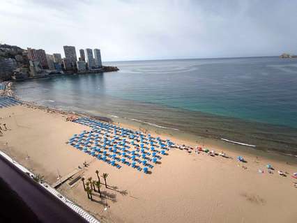 Estudio en venta en Benidorm