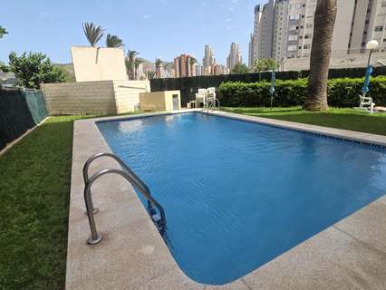 Apartamento en venta en Benidorm rebajado