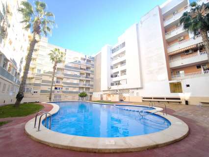 Apartamento en venta en Torrevieja zona Avenida Habaneras - Curva de Palangre rebajado