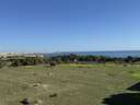 Apartamento en venta en Torrevieja zona Punta Prima rebajado