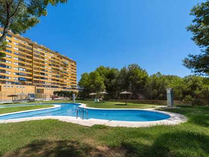 Apartamento en venta en Orihuela zona Orihuela-Costa