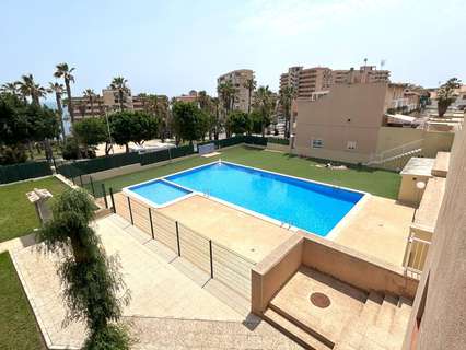 Apartamento en alquiler en Torrevieja