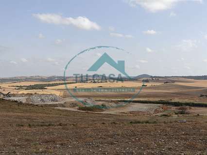 Parcela rústica en alquiler en Chiclana de la Frontera