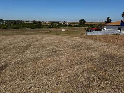 Parcela rústica en venta en Chiclana de la Frontera