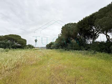 Parcela rústica en venta en Puerto Real