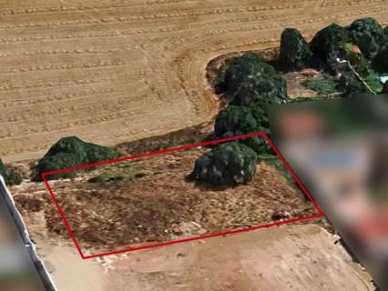 Parcela rústica en venta en Chiclana de la Frontera